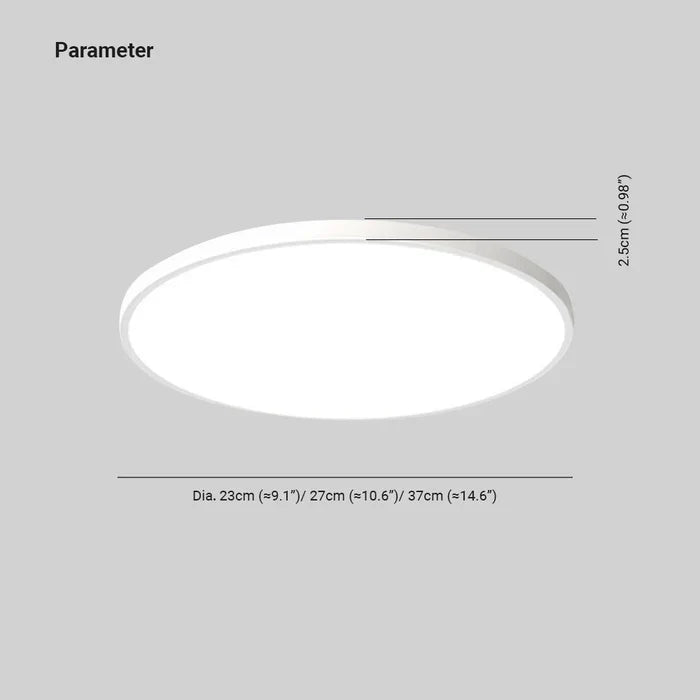 Modern LED ceiling light fixture, adjustable brightness for any room.