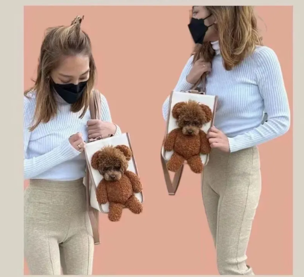 Luxury pet travel bag for small pets, a stylish and practical accessory for car trips.