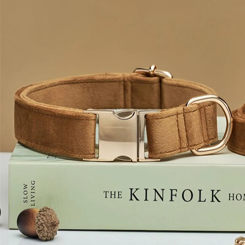 Elegant velvet pet collar and leash set in rose pink with gold hardware, personalized for dogs or cats.