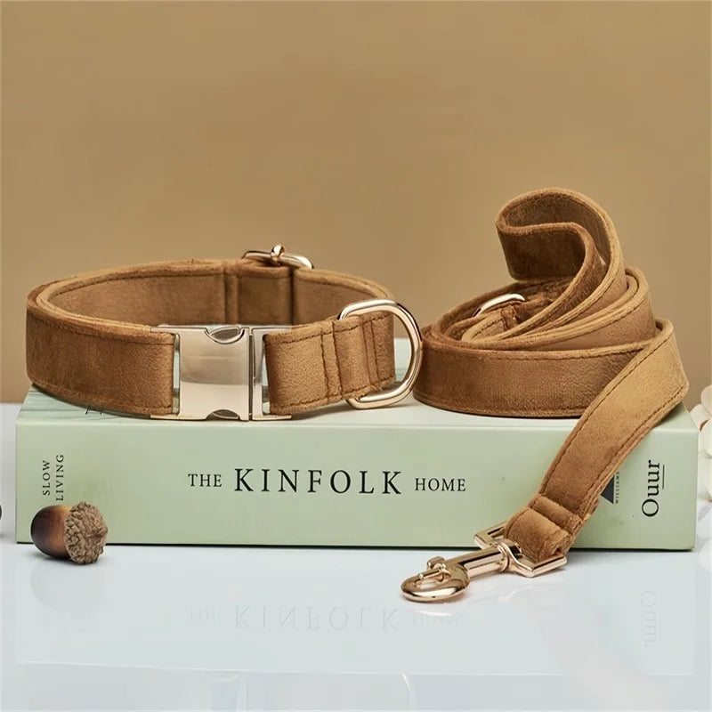 Elegant walking gear velvet pet collar and leash for small to large dogs and cats, a premium accessory.