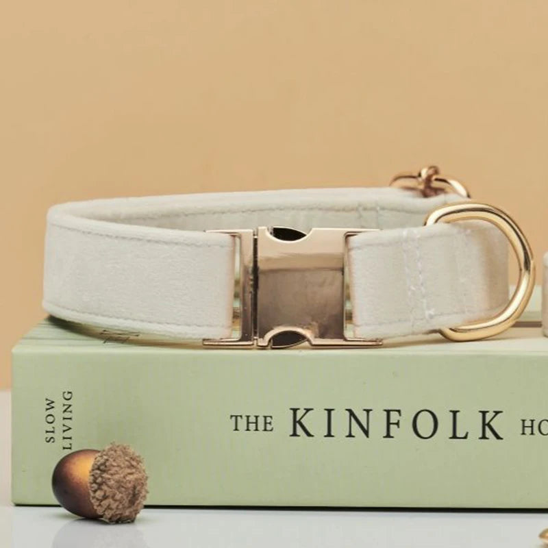 Personalized pet ID collar made from soft velvet, paired with a resilient matching leash for pets.