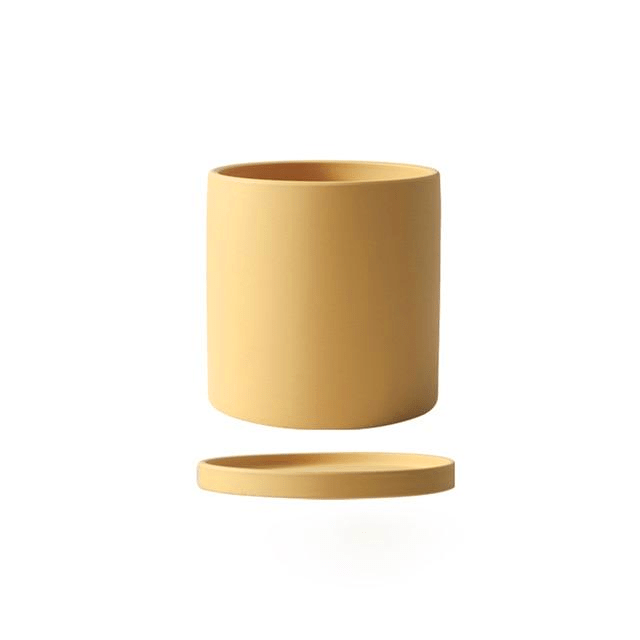 Classic ceramic plant pot with saucer, a timeless piece for indoor plants.