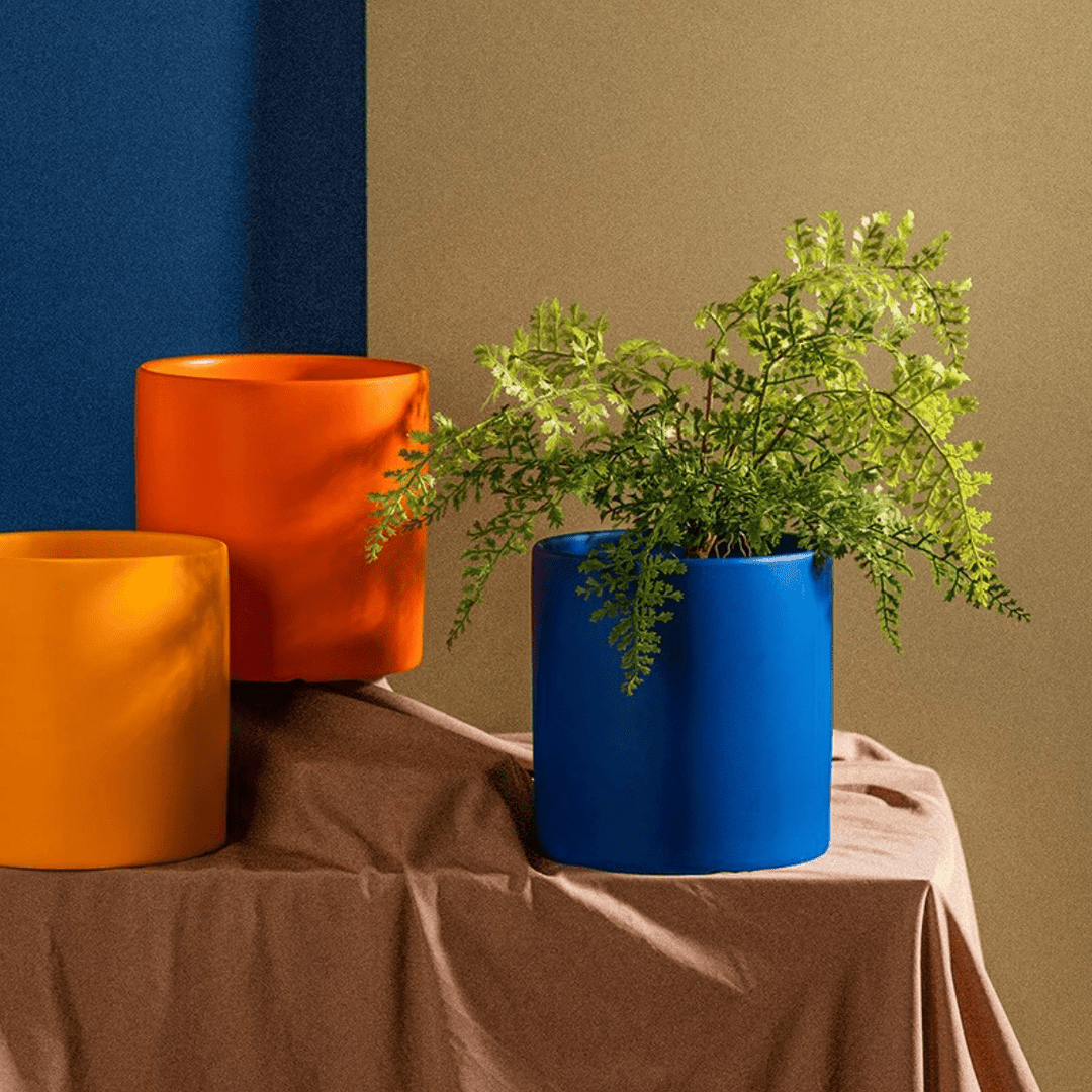 Premium ceramic planter pot for succulents and small indoor plants with saucer.