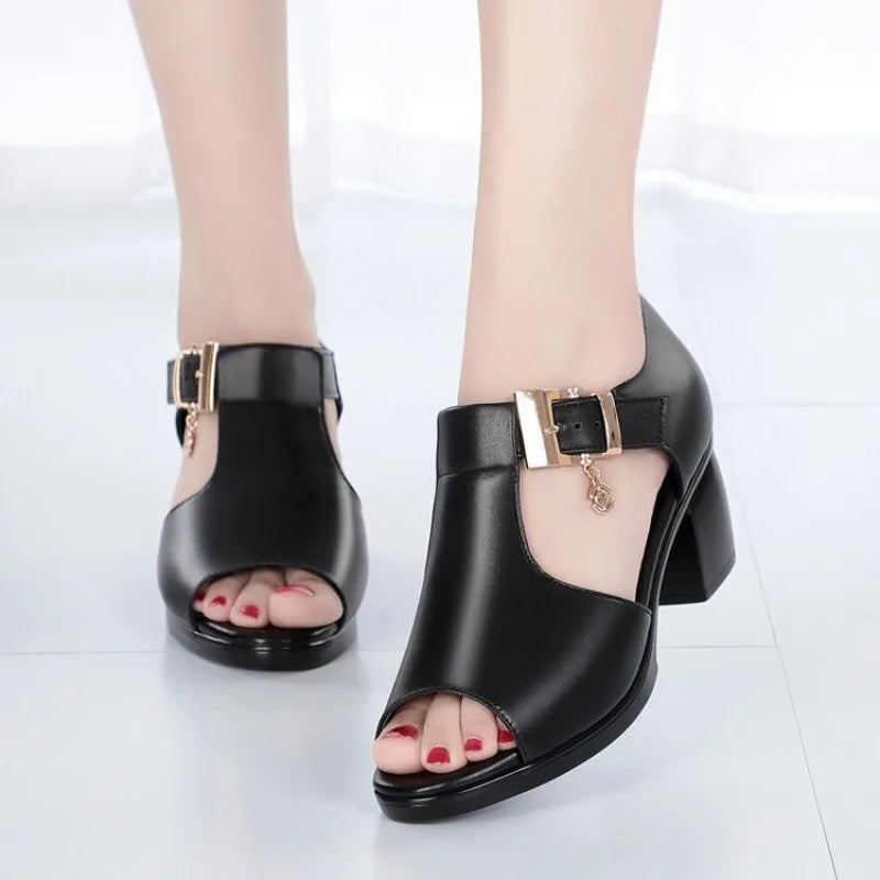 Front view of chic women's buckle block heels, showcasing their elegant day-to-night design.