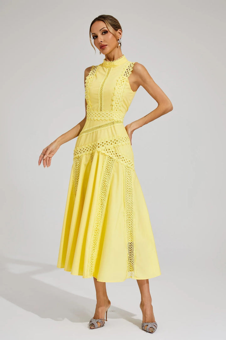 Stylish sleeveless lace midi dress for women, mock neck A-line design for special occasions.