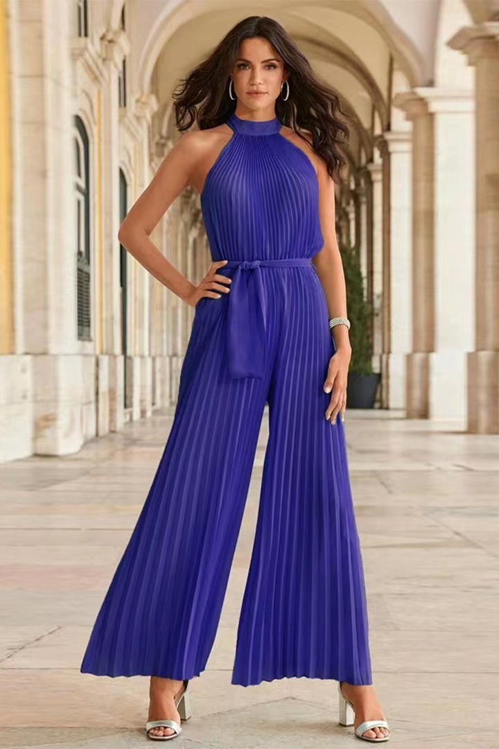 Elegant women's pleated jumpsuit, a chic one-piece outfit for versatile and comfortable style.