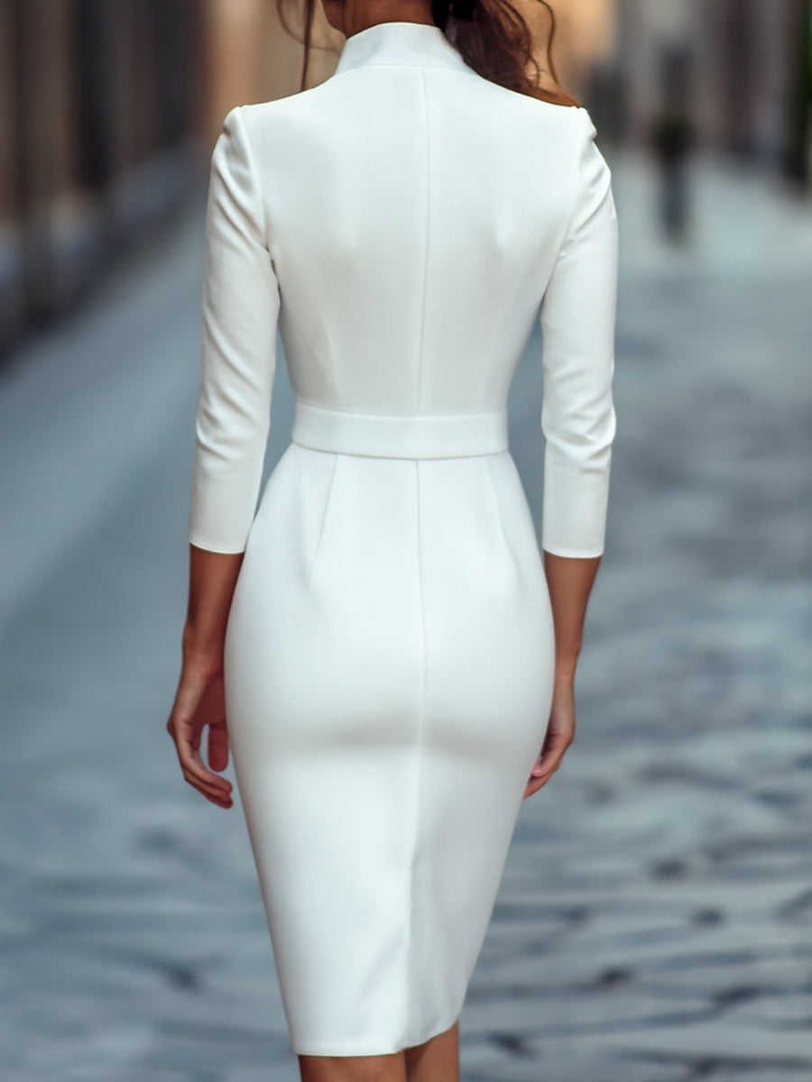 Chic women's office wear midi dress: elegant sheath design, mandarin collar, and stylish belt.