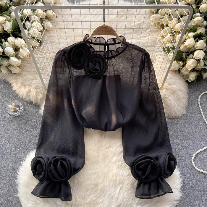 Fashionable women's blouse, an elegant and stylish top suitable for both casual and professional settings.