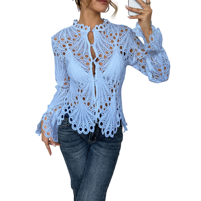 Chic hollow out lace long sleeve blouse for women, showcasing intricate cutwork, ideal for an elegant look.