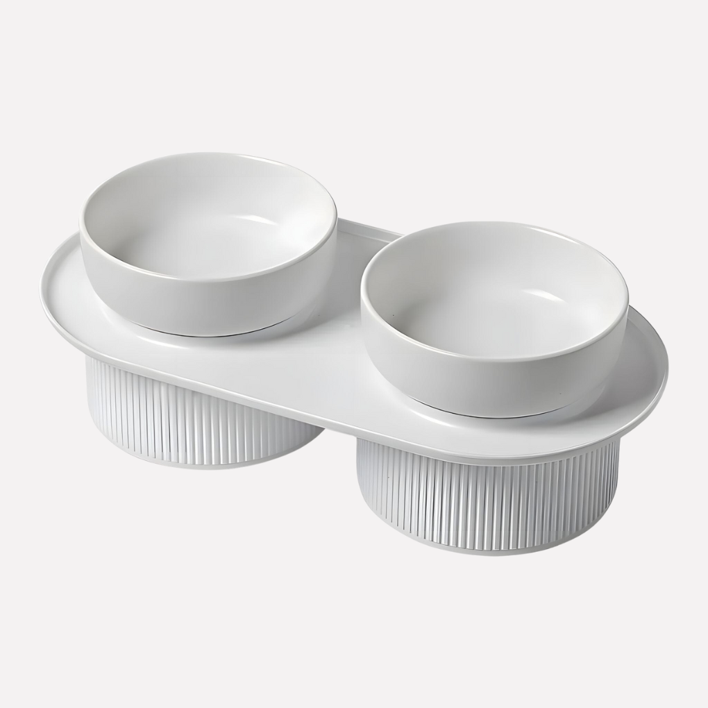 Modern elevated ceramic cat bowl with stand, promoting healthy posture for pets during meal times.