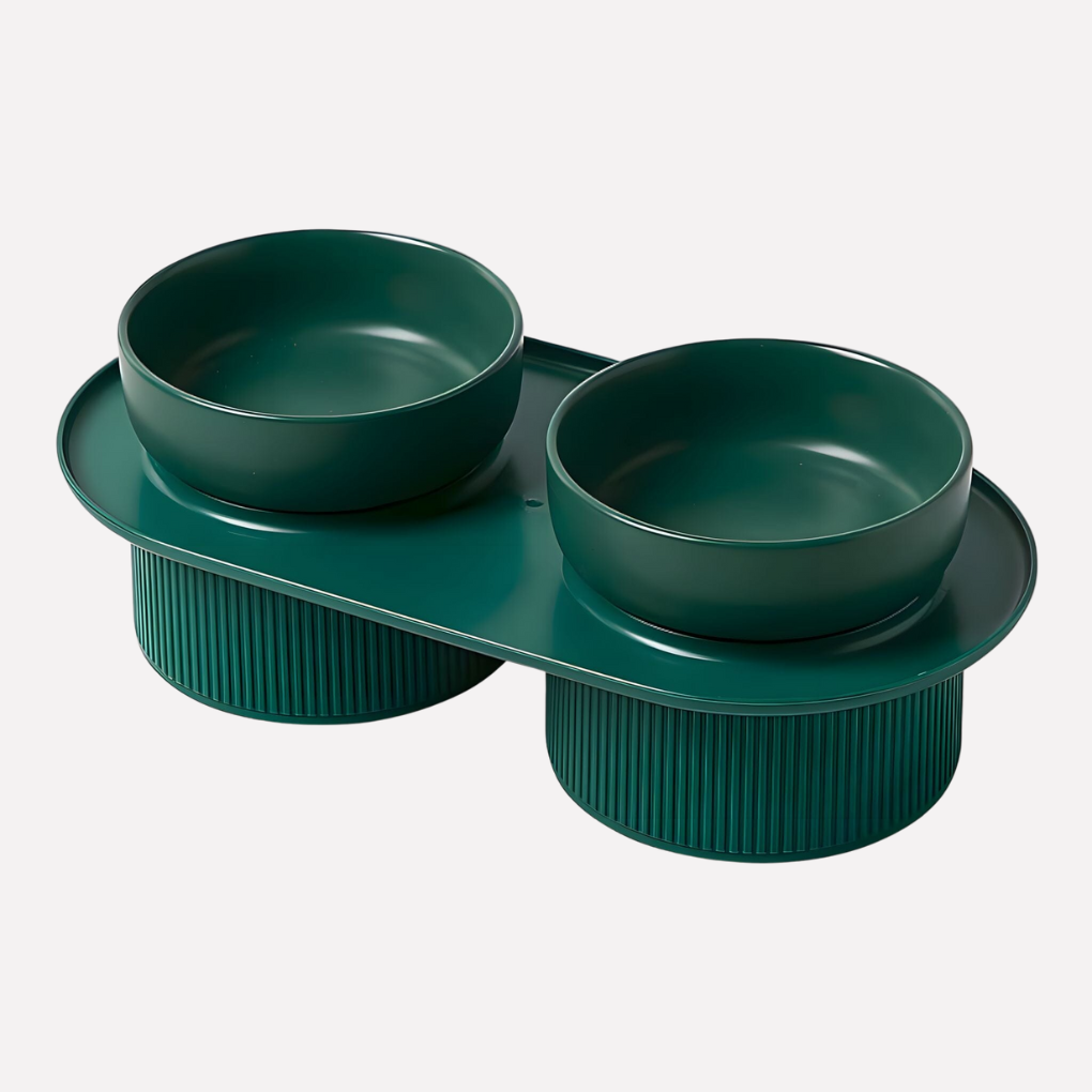 New4 elevated dog bowl made of ceramic, designed for neck support, a stylish pet feeding solution.