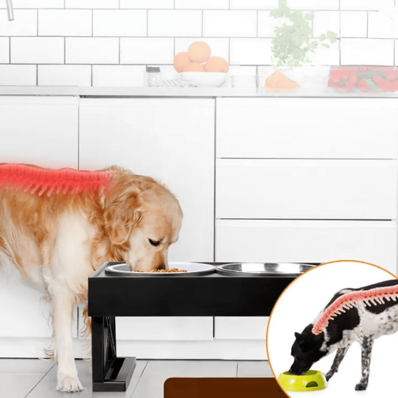 Modern pet feeding solution: elevated dog bowl with mat, improving dog health and mealtime comfort