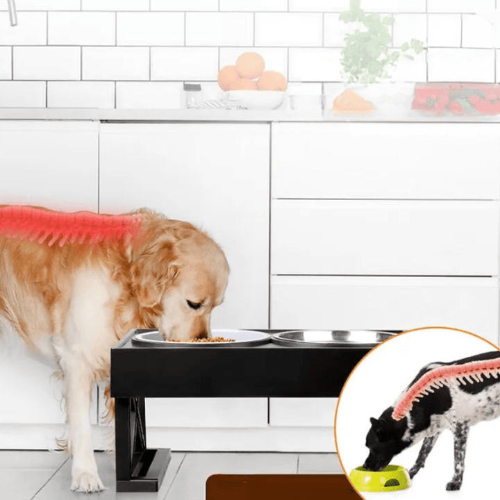 Modern pet feeding solution: elevated dog bowl with mat, improving dog health and mealtime comfort