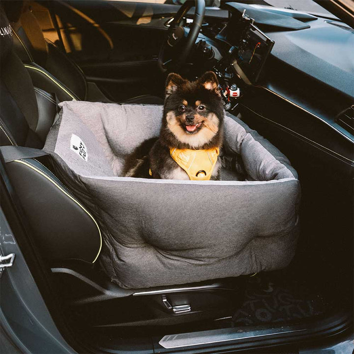 Elevated pet car seat with soft fleece lining, perfect for small dogs to enjoy the view safely.