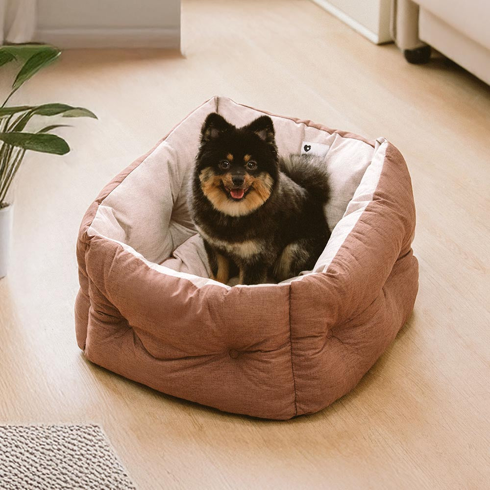 Dog travel bed with elevated design for a better view, protecting car upholstery from pet fur and dirt.