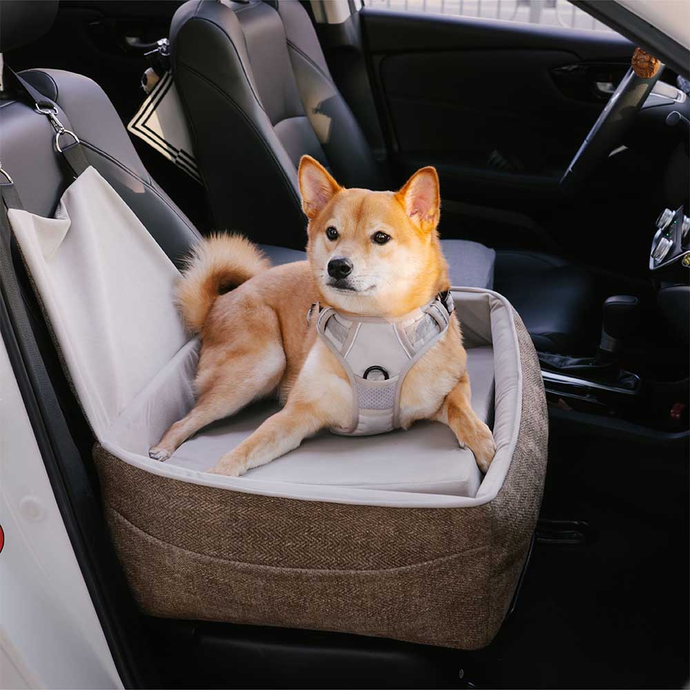 Portable dog car seat for single pets, elevated design for better visibility while traveling