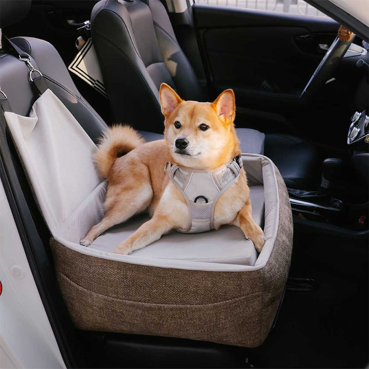 Portable dog car seat for single pets, elevated design for better visibility while traveling