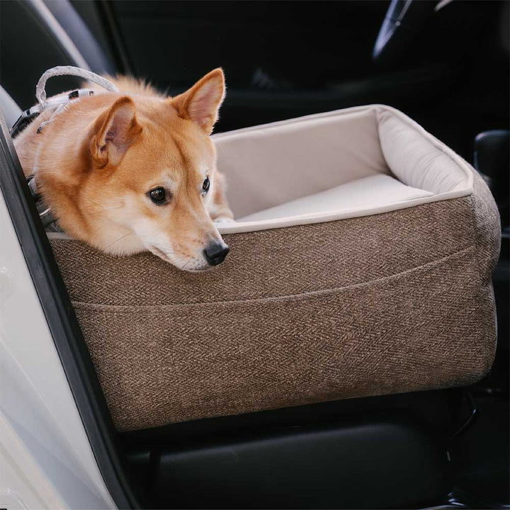 Comfortable pet car accessory, elevated dog seat for safe and enjoyable road trips