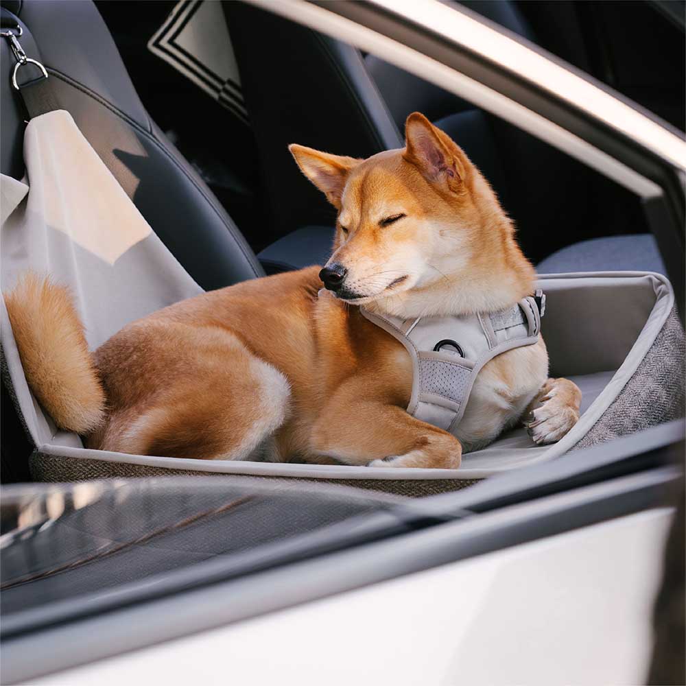 Washable pet car seat, elevated design, perfect for keeping small dogs secure and cozy