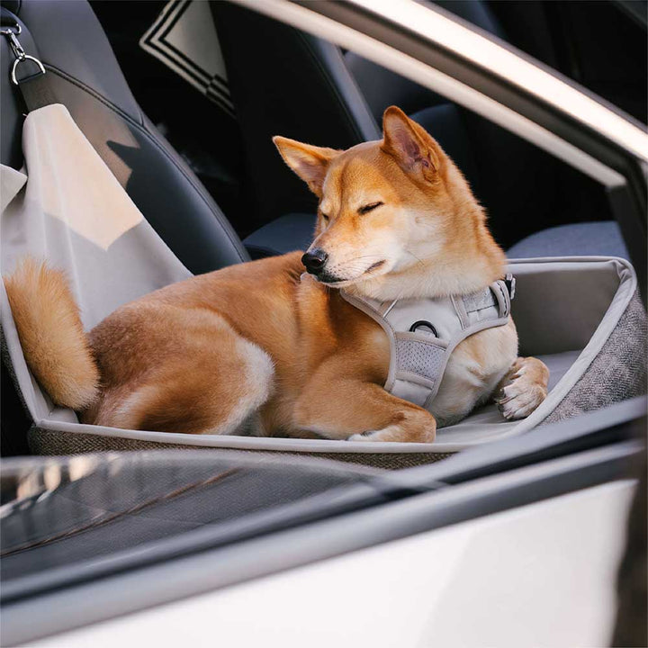 Washable pet car seat, elevated design, perfect for keeping small dogs secure and cozy
