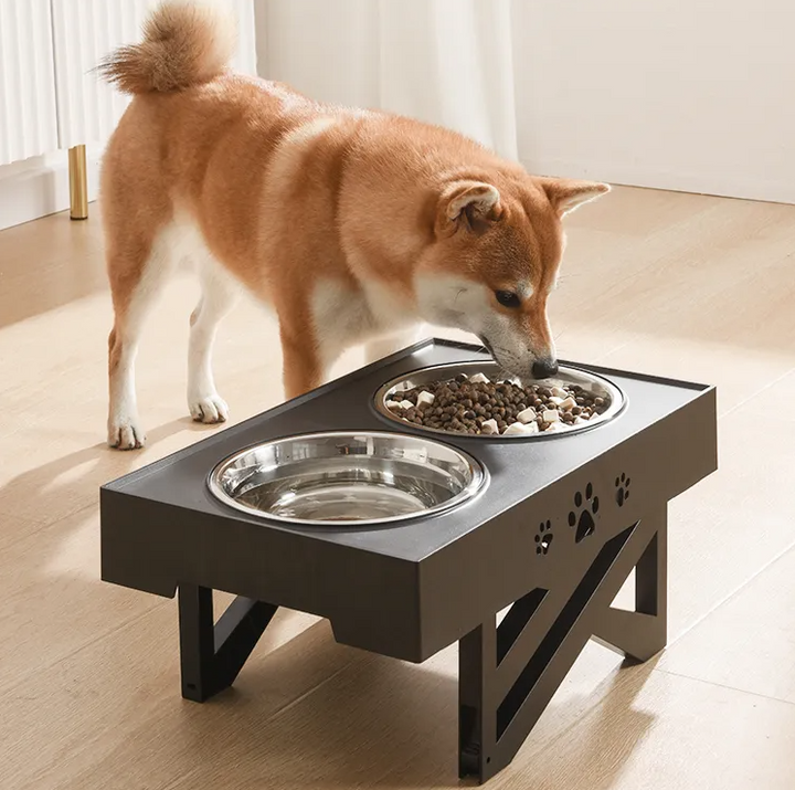 Elevated dog food bowl stand with black finish for improved pet digestion, includes two stainless steel bowls.