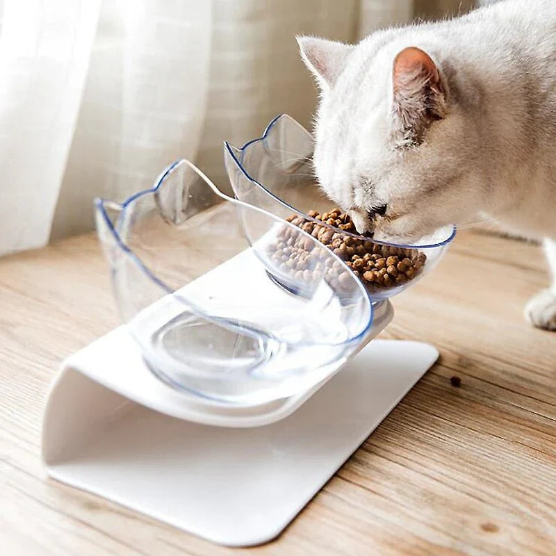 Elevated orthopedic cat bowl in white ceramic, promoting healthy digestion
