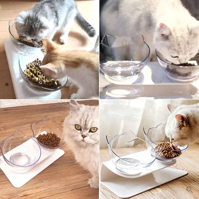 Ergonomic elevated cat bowl, promoting natural feeding posture and reducing reflux