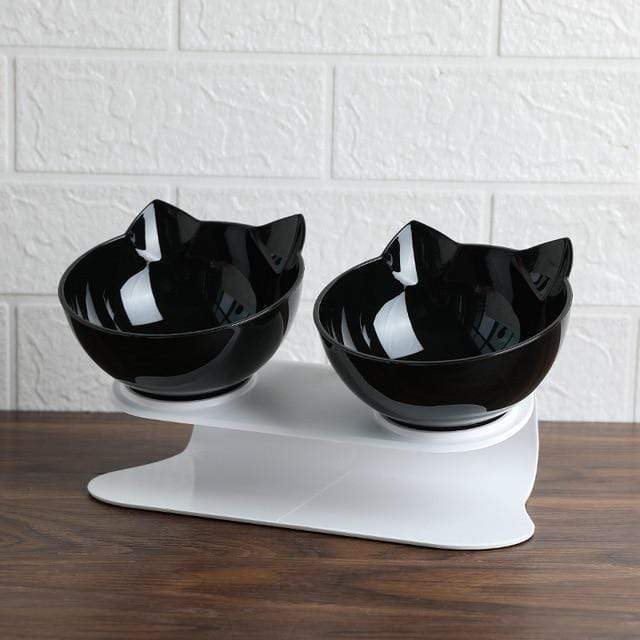Transparent elevated anti-vomiting cat bowl, showing food levels clearly