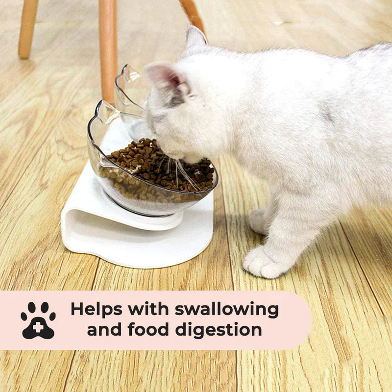 Modern elevated cat food dish, designed to prevent neck strain and improve digestion