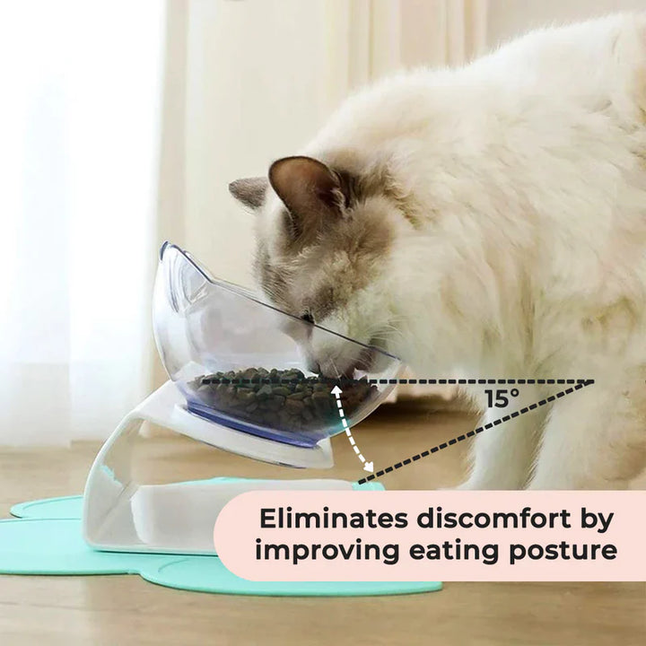 White elevated anti-vomiting cat bowl with a minimalist stand and shallow design