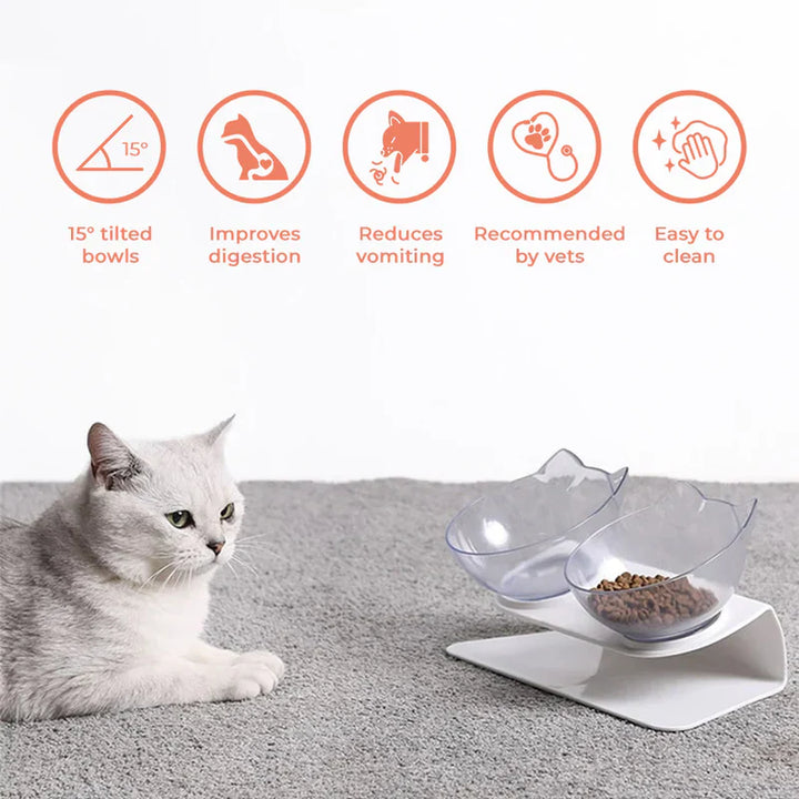 Two-piece elevated cat bowl set, featuring a ceramic dish and a sturdy base