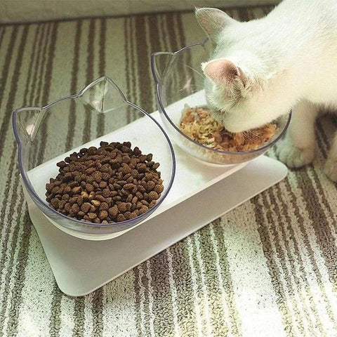 Close-up of an elevated orthopedic cat bowl, showing its wide and shallow design