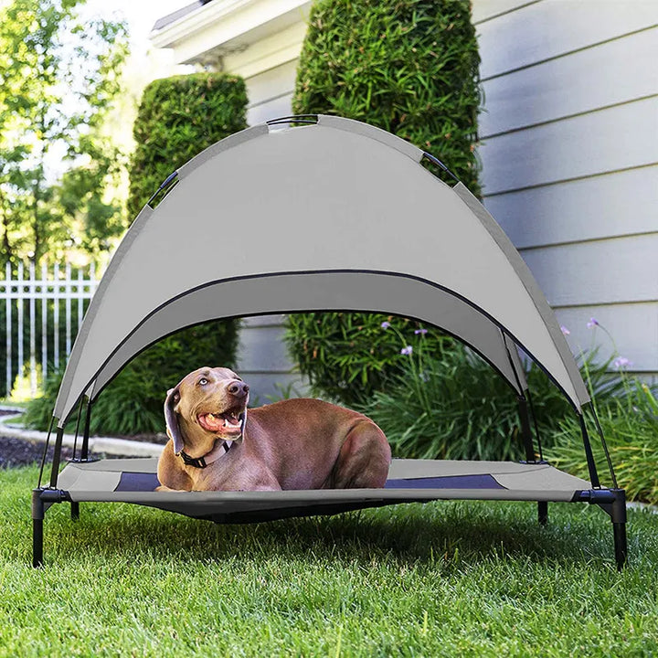 Elevated outdoor dog bed with a grey breathable mesh and blue sun canopy, perfect for pet comfort.