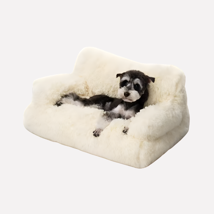 Elevated pet bench bed for small dogs, cats, washable, plush, non-slip, comfort cushion, pet furniture