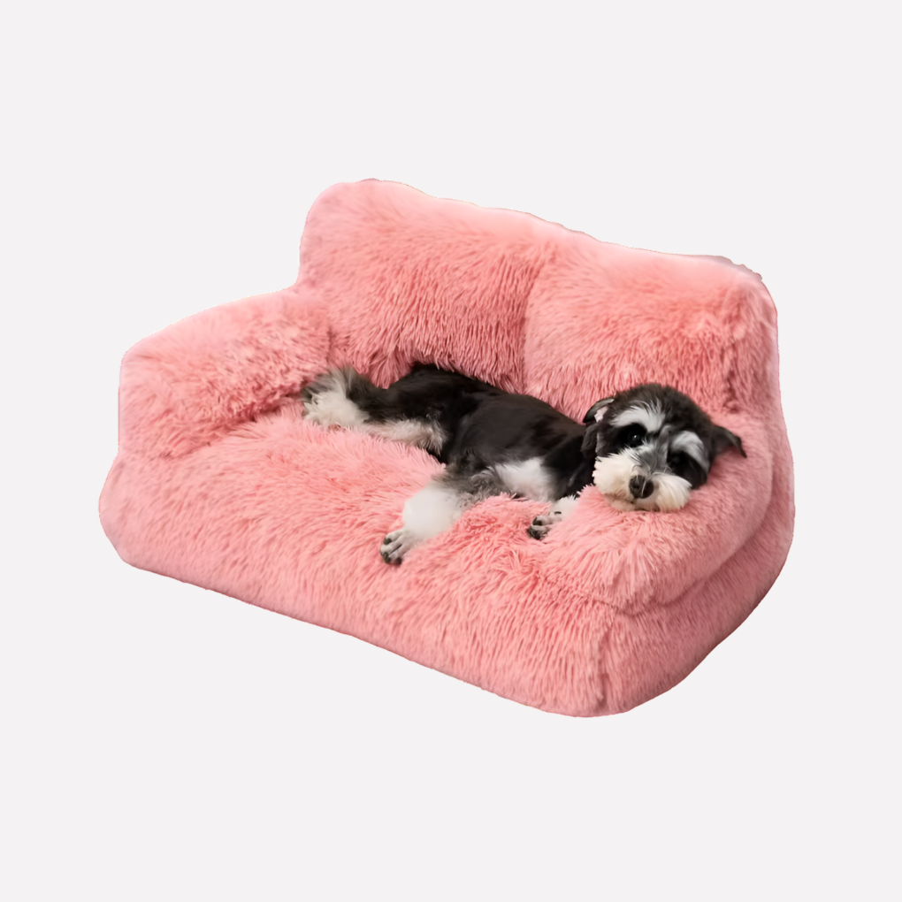 Small pet bed, elevated design, washable, plush, cozy bench for dogs and cats, durable pet accessory