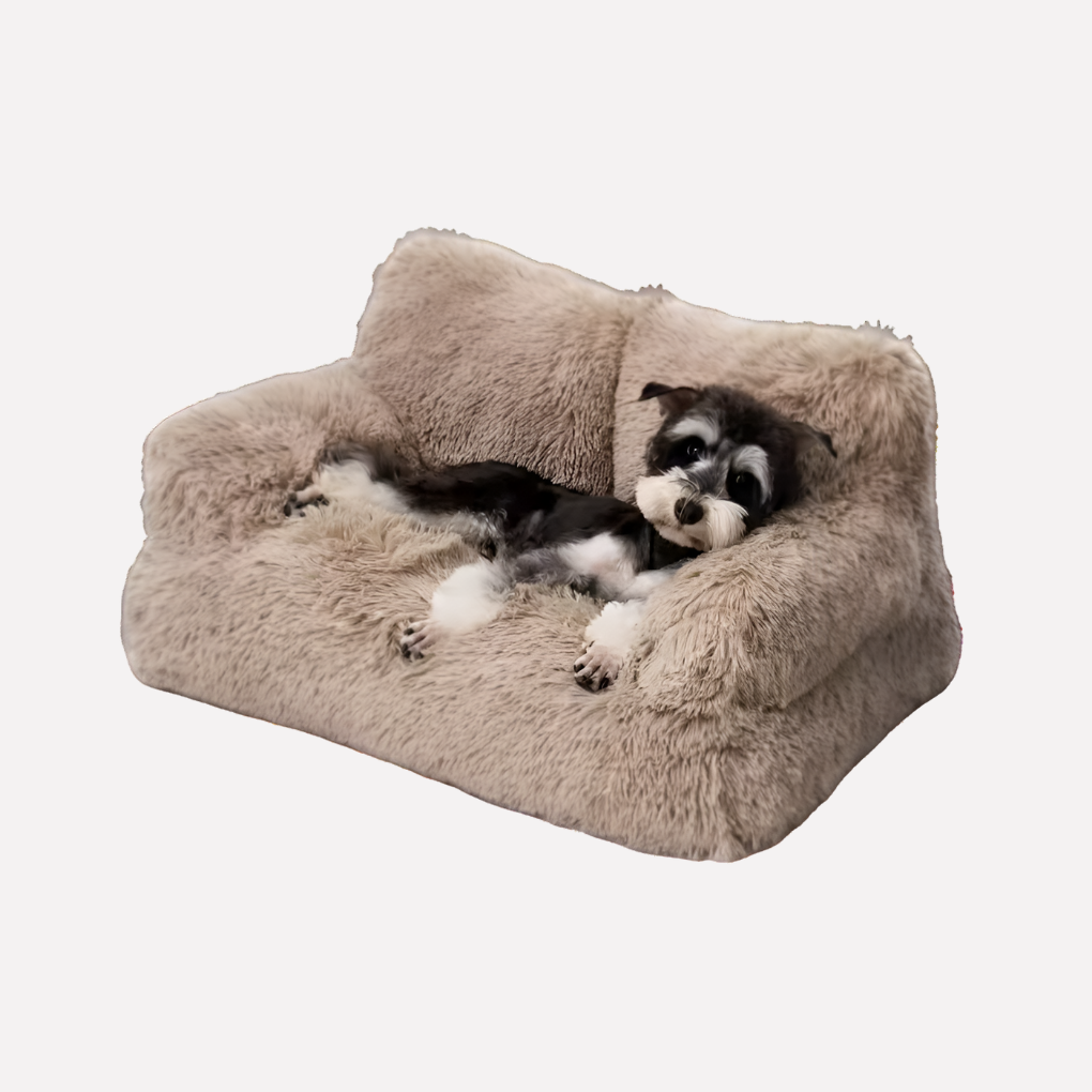 Comfortable elevated dog bed, small breed, washable cat bed, non-slip, plush cushion, pet furniture