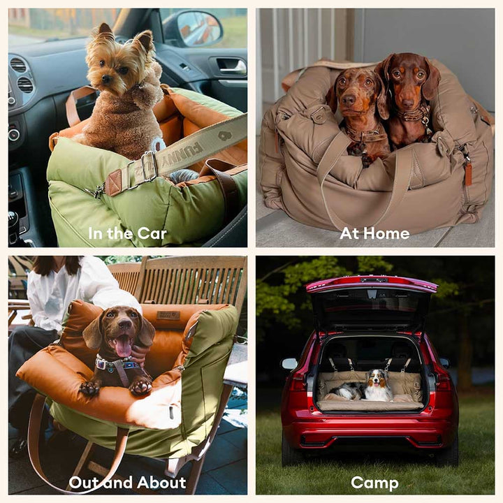 Small dog car seat, faux leather, designed for elevated comfort and pet safety during travel