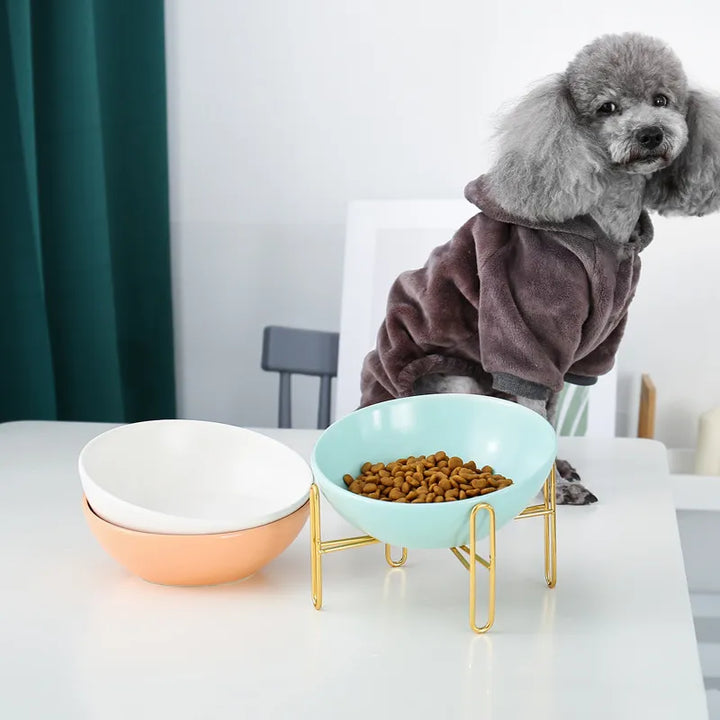 Elevated pet feeder with white ceramic bowls, modern design for dogs & cats, anti-slip base, easy to clean