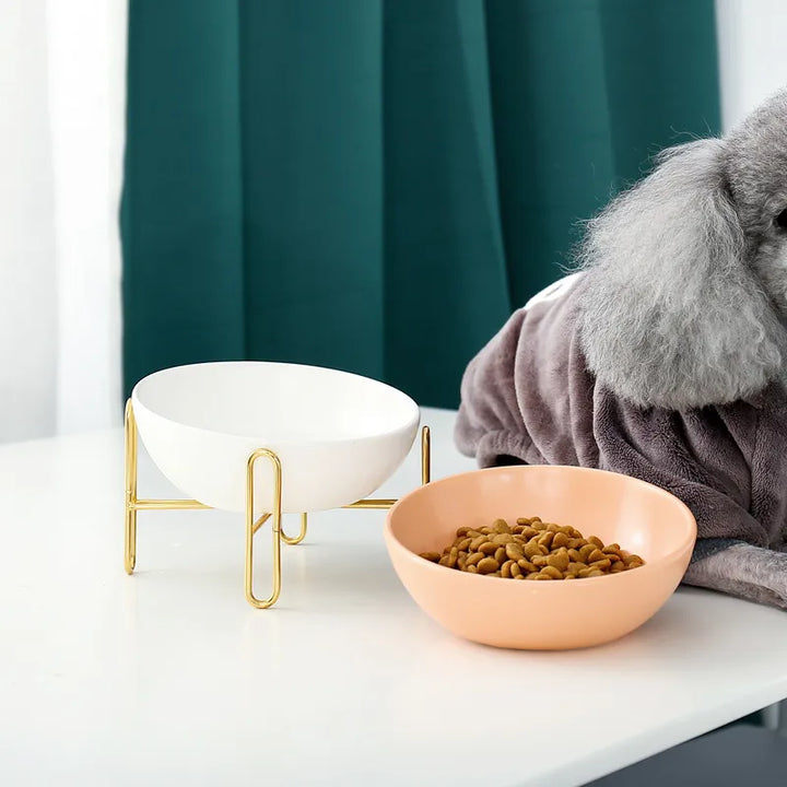 Pet elevated food and water bowl, black metal stand, white ceramic inserts, suitable for cats & small dogs