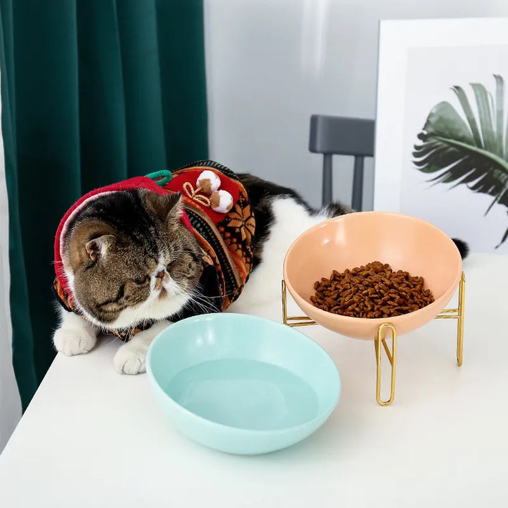Modern elevated pet food station, two bowls on a raised stand, ergonomic design for pet health, easy cleanup