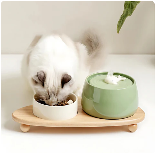 Elevated pet feeding station with two white ceramic bowls in a sturdy wooden stand for cats or dogs.