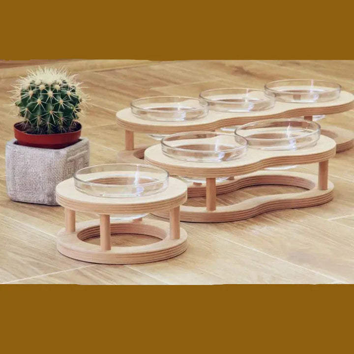 Modern elevated pet feeding station, two removable glass bowls on a non-slip wooden stand for pets
