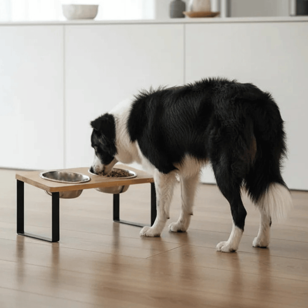 Ergonomic elevated dog or cat feeder featuring a sturdy wooden stand and two anti-slip stainless steel bowls.