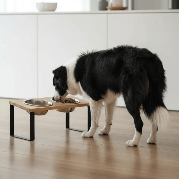 Ergonomic elevated dog or cat feeder featuring a sturdy wooden stand and two anti-slip stainless steel bowls.