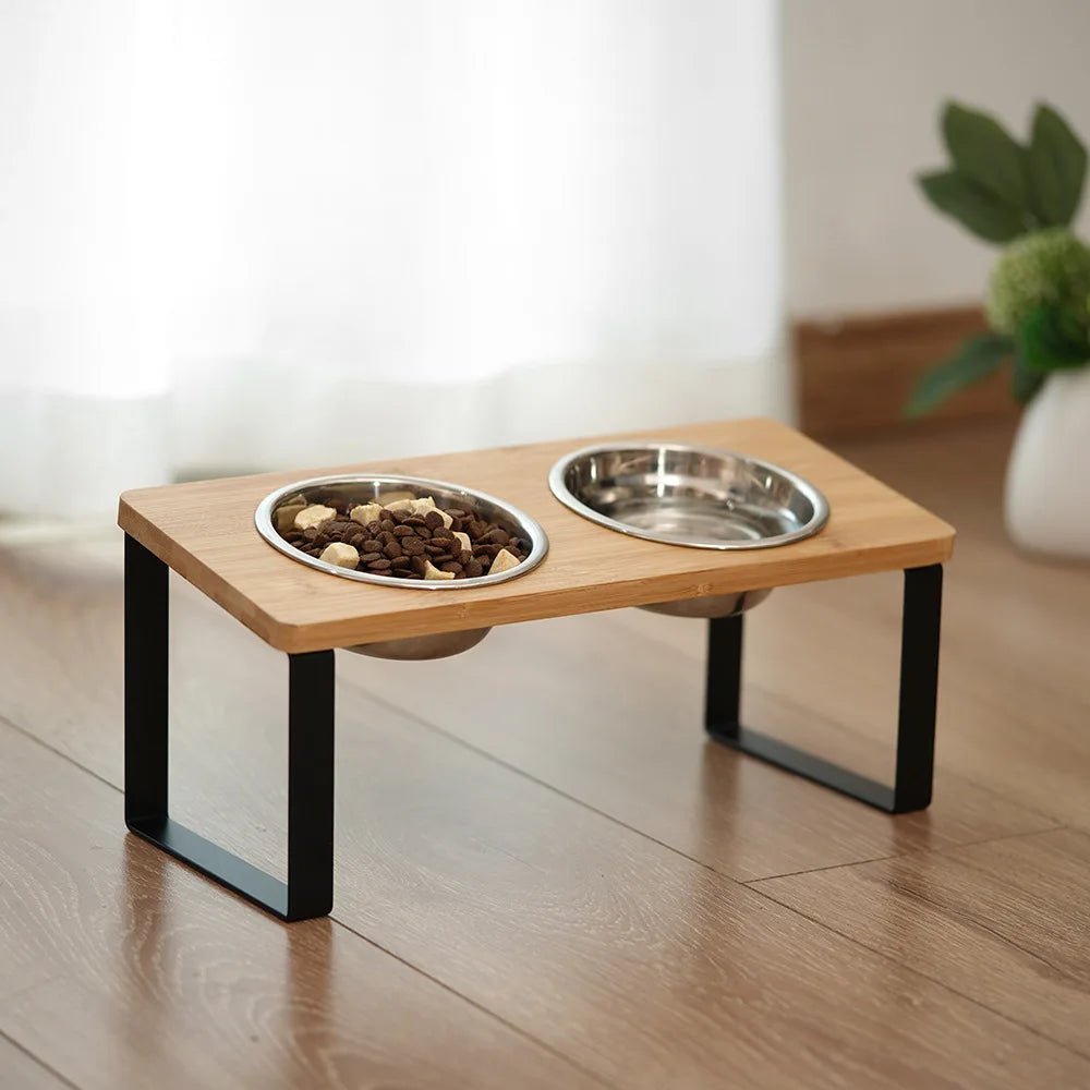 Modern pet feeding station: elevated cat and dog bowls for comfortable eating, easy-clean stainless steel insert.