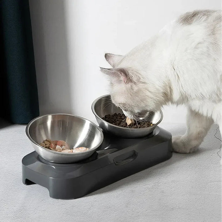 Elevated stainless steel pet bowl promoting healthy digestion in cats and small dogs