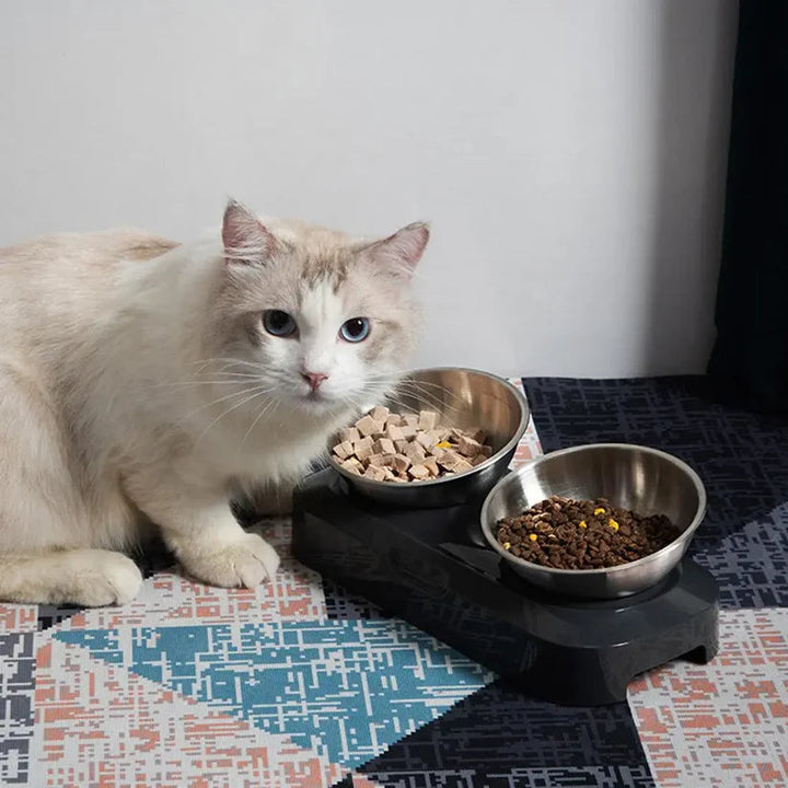 Ergonomic elevated pet feeder with non-slip base for comfortable eating and digestion