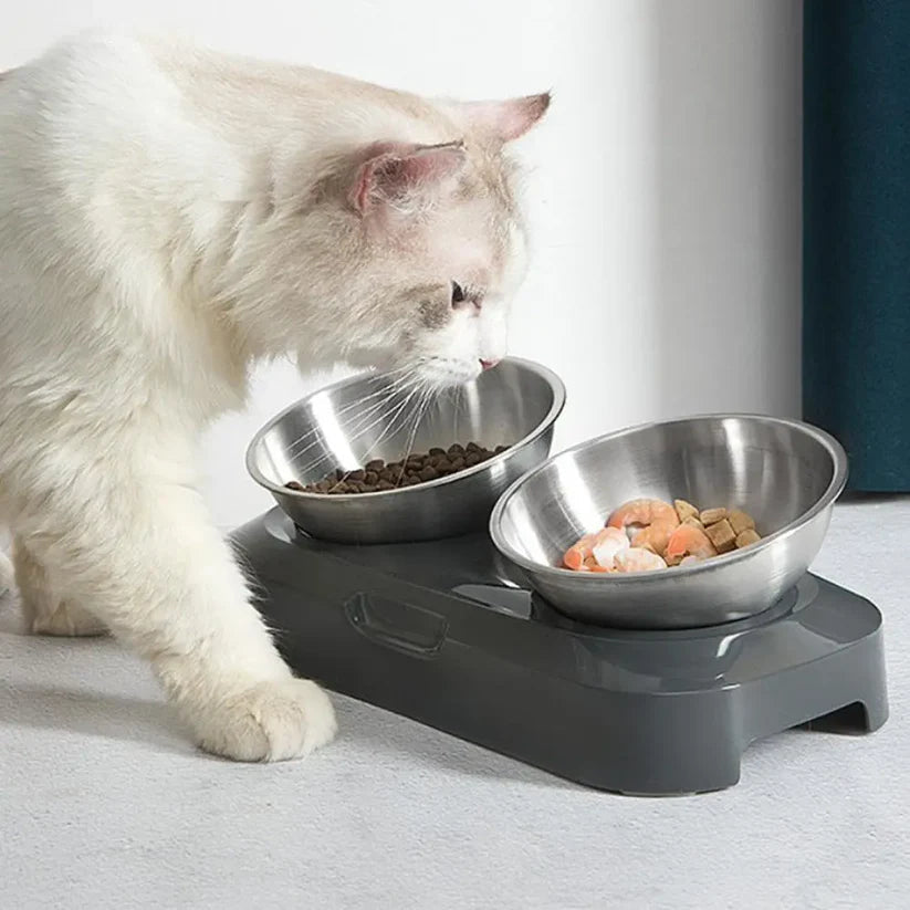 Stainless steel elevated cat bowl, dishwasher safe, designed for improved pet digestion