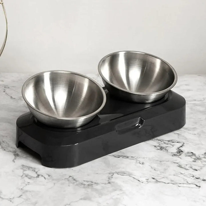 Stylish elevated pet bowl with two stainless steel dishes, aids healthy pet digestion