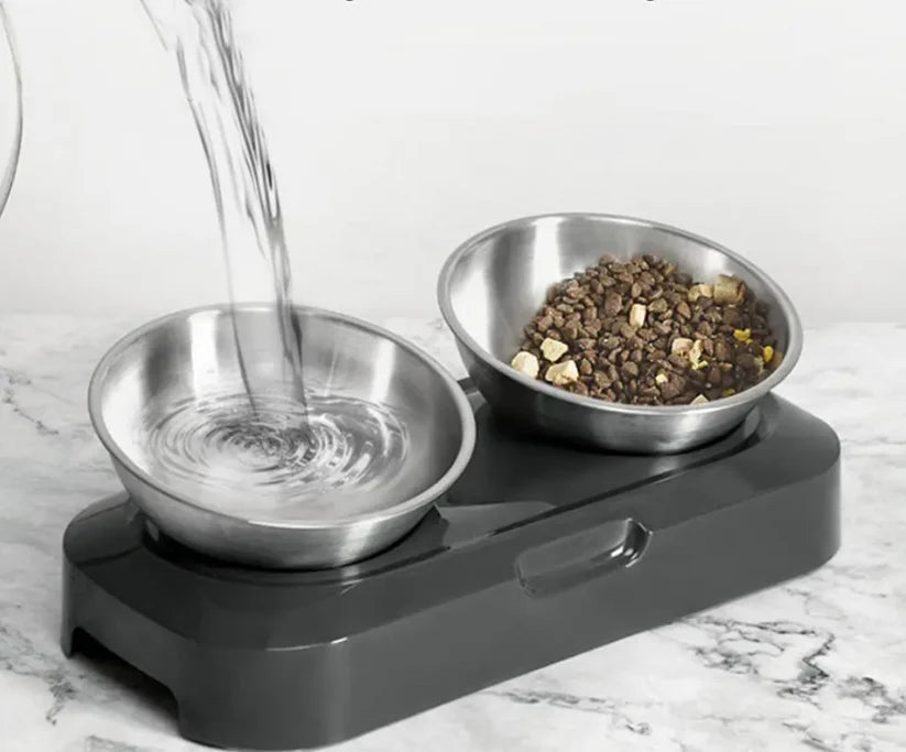 Modern elevated pet feeder with rust-resistant stainless steel bowls for cats, healthy eating